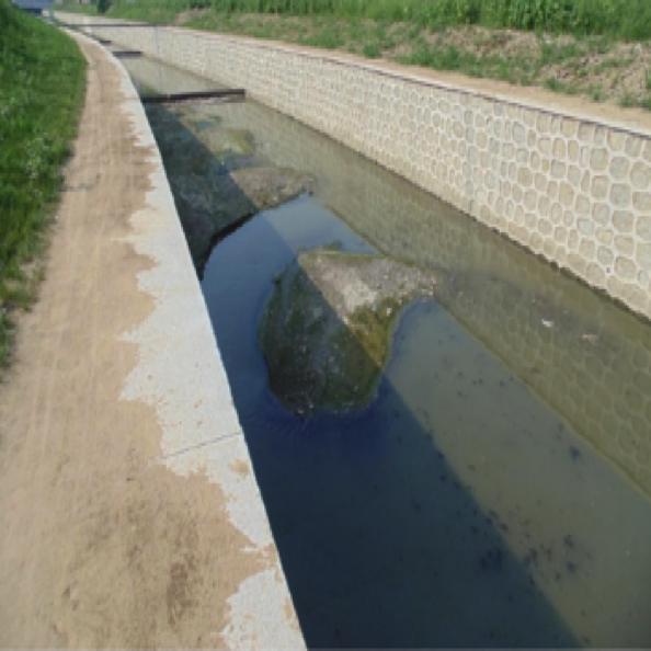 河道黑臭污水生态修复设计与施工(前)
Design & construction for black and odorous river water ecological restoration 河道黑臭污水生态修复设计与施工(前)
Design & construction for black and odorous river water ecological restoration